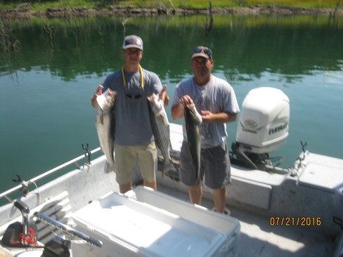 Nice Striped Bass